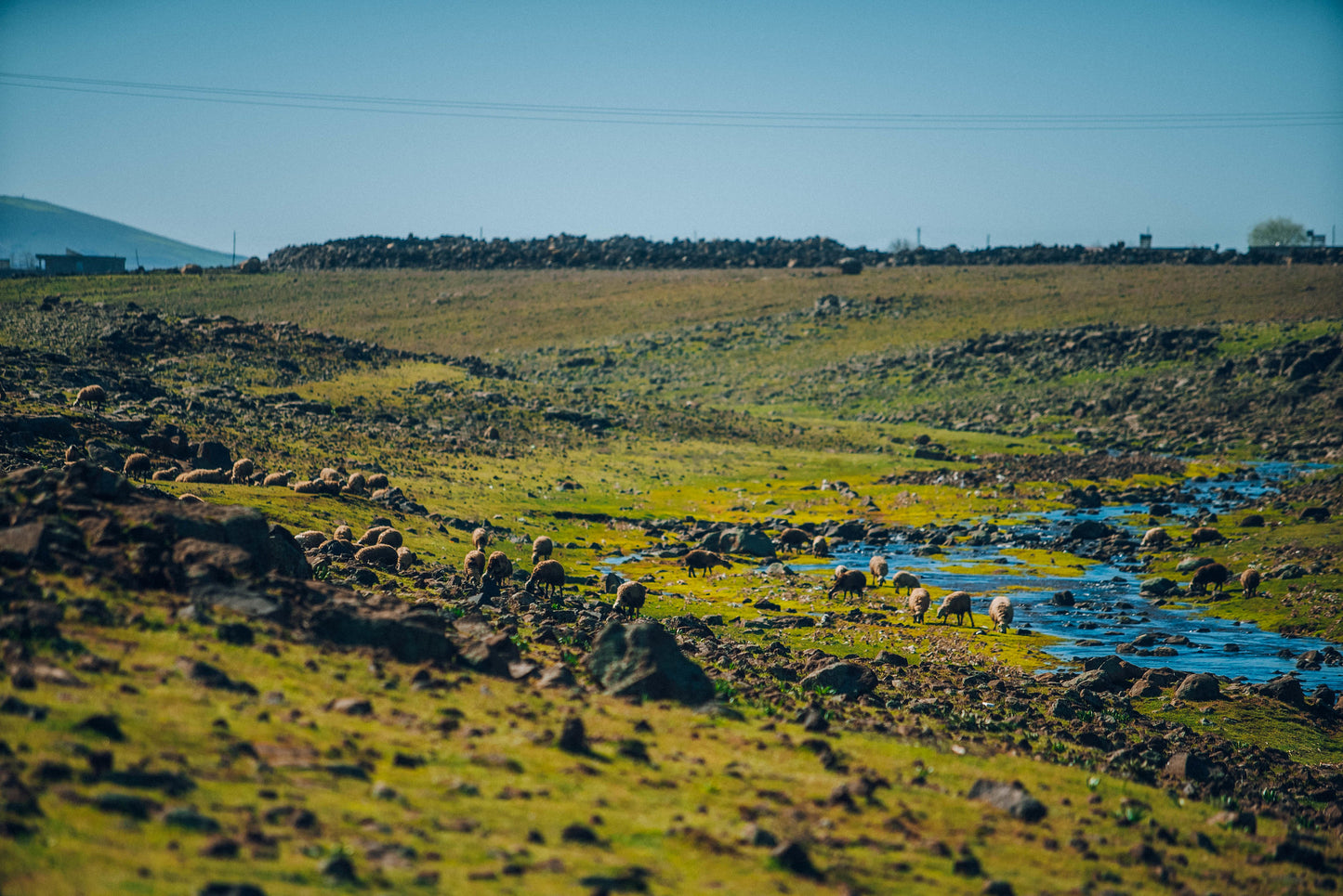 SOUTH TURKIYE