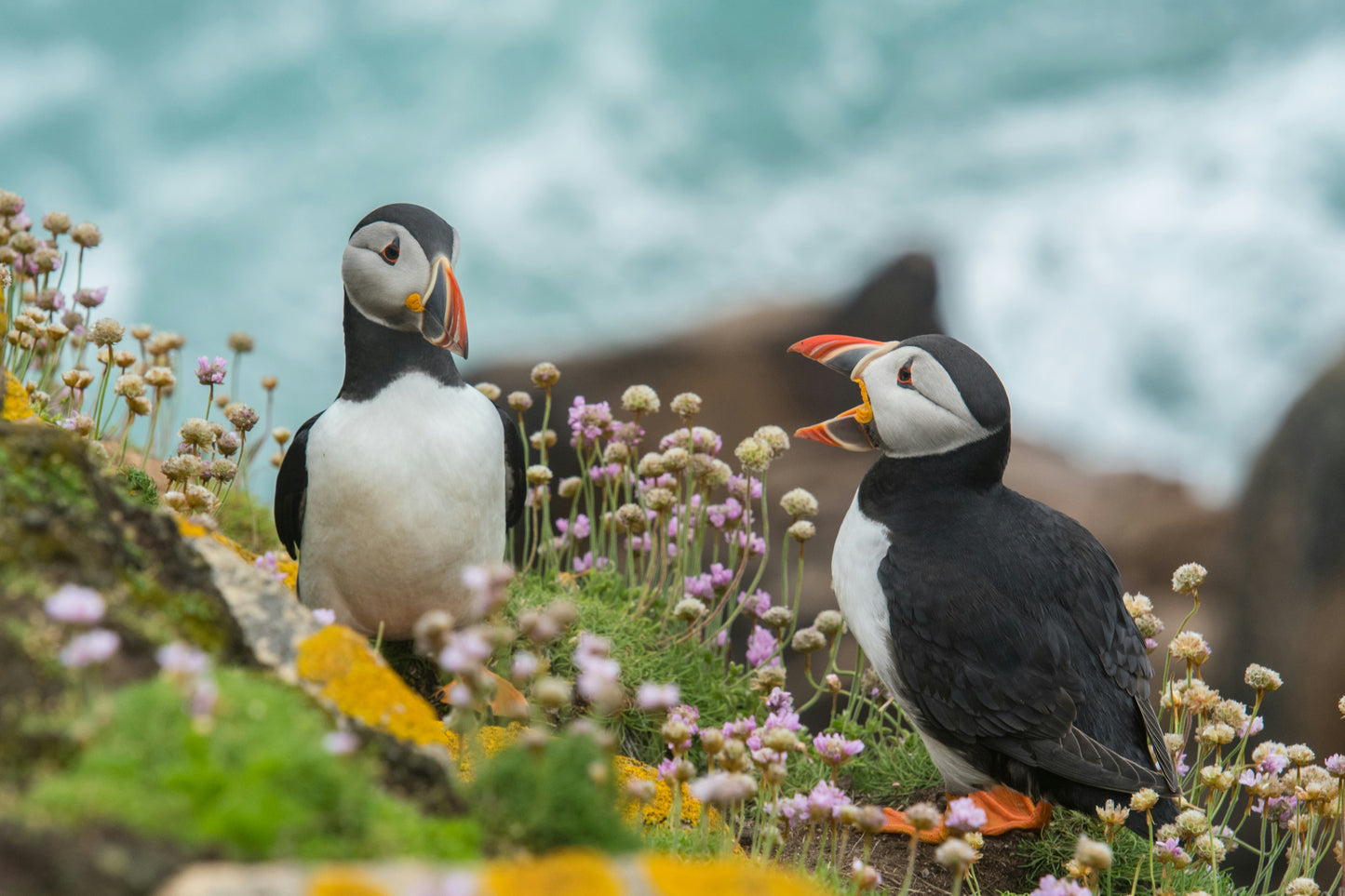 IRELAND WILD ATLANTIC WAY