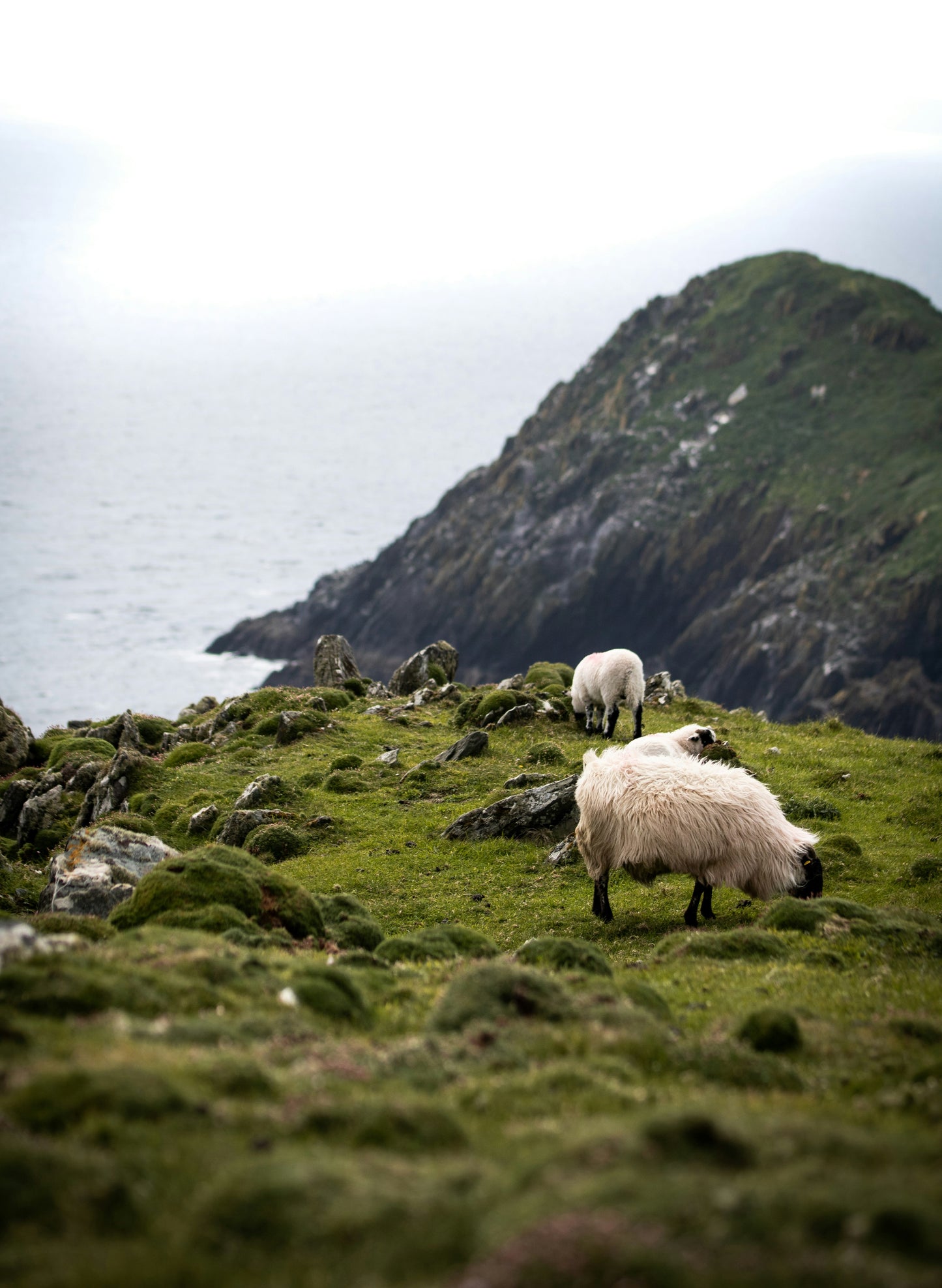 IRELAND WILD ATLANTIC WAY